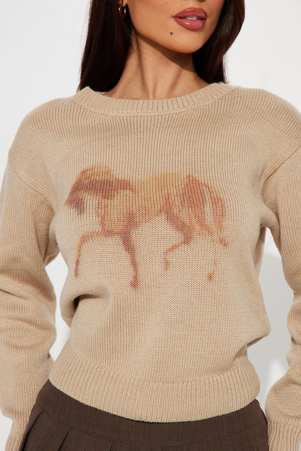 Horse Girl Sweater - Mocha/combo